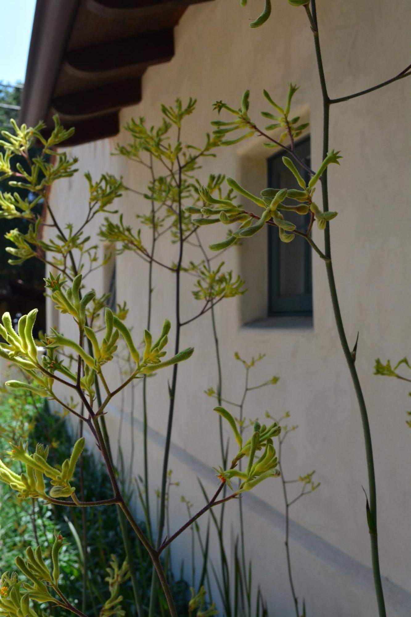 Su Nido Inn Ojai Exterior photo